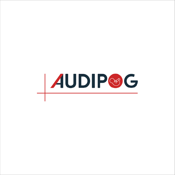 Audipog