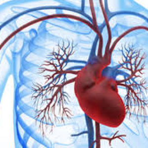 Maladie coronarienne, Coronaropathie