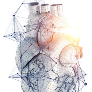 Heart as symbol of innovations in medicine. Mixed media